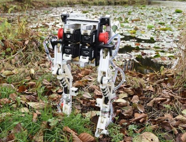 Con la naturaleza como modelo, BirdBot logra gran eficiencia…